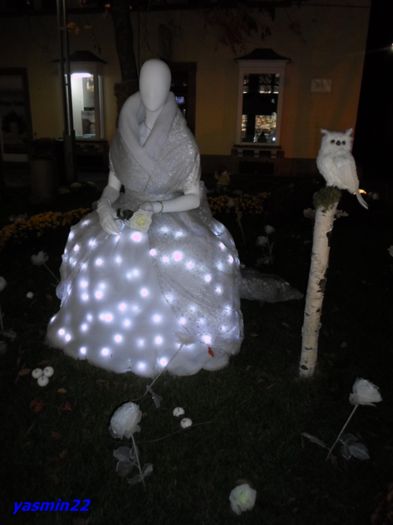 30 oct. 2015 134 - Crizantema Lahr