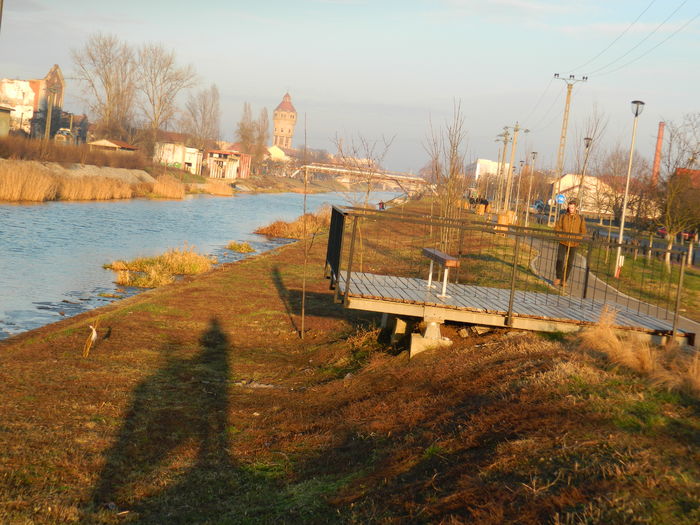 DSCN7884 - 2016 LA PLIMBARE PE MALUL RAULUI BEGA 2