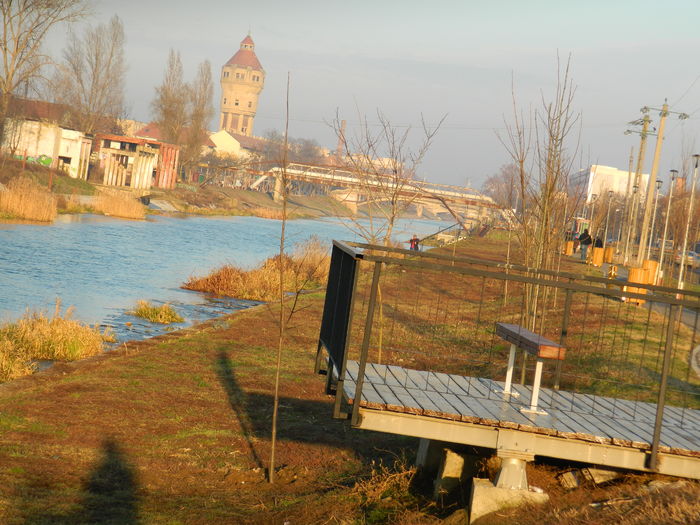 DSCN7885 - 2016 LA PLIMBARE PE MALUL RAULUI BEGA 2