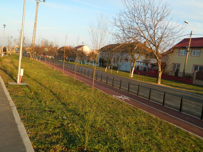 DSCN7888 - 2016 LA PLIMBARE PE MALUL RAULUI BEGA 2