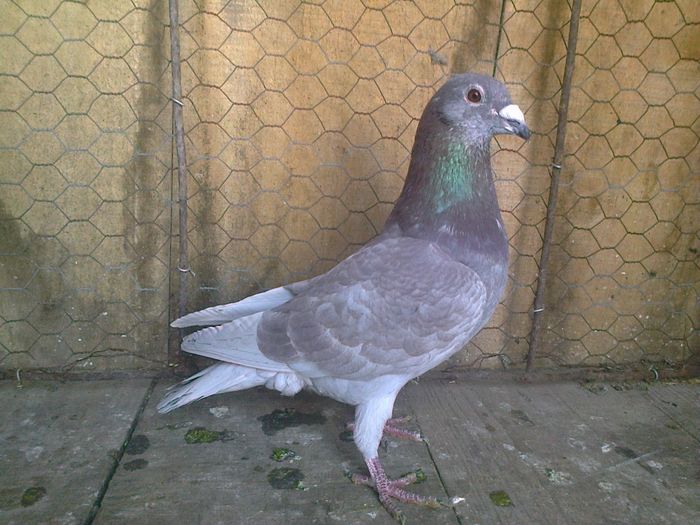 Imag 012640