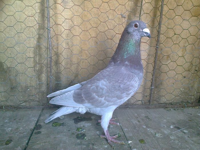 Imag 012641
