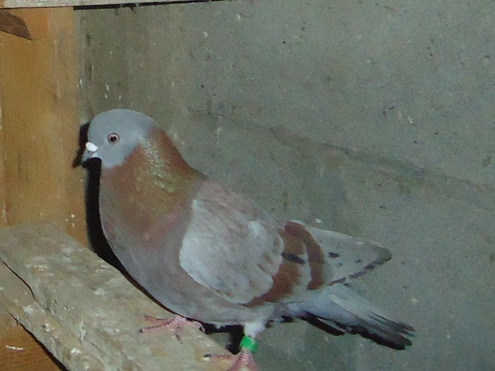 DSC07340