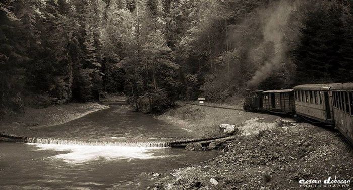 Mocanita - Amintiri dinainte de 1989-2