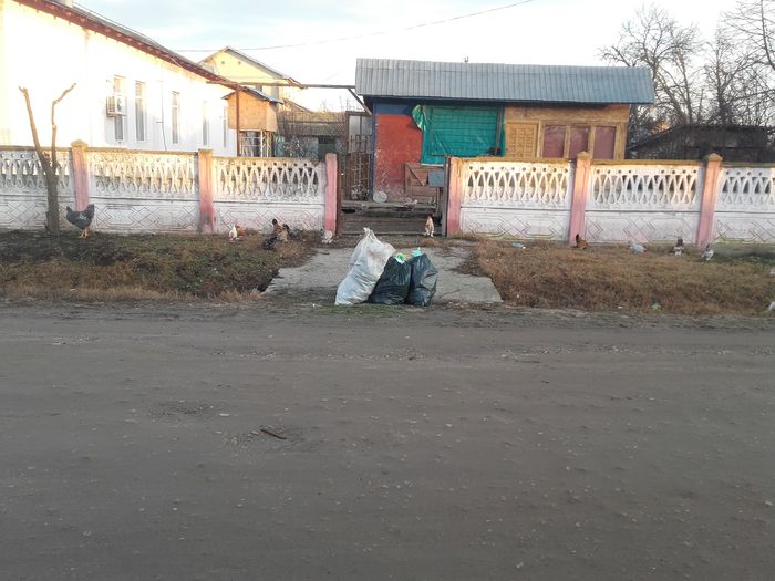 20160204_080530 - GAINI PITICE PENTRU 2016