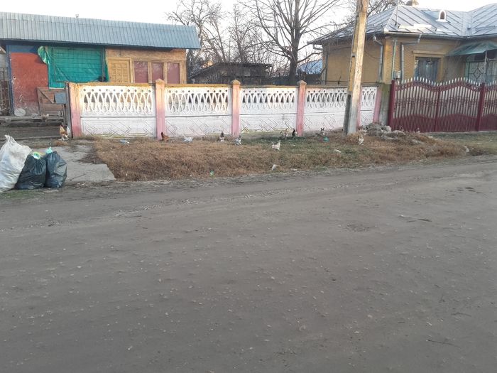 20160204_080528 - GAINI PITICE PENTRU 2016