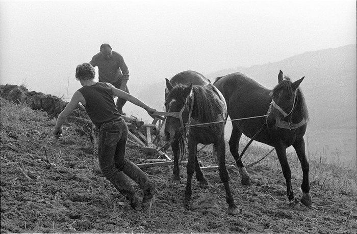 la arat - Amintiri dinainte de 1989-2