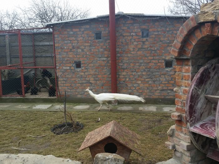 20160204_125700