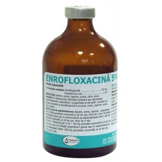 enrofloxacina5-inyectable-500x500 - TRATAMENTE PT URECHEATI