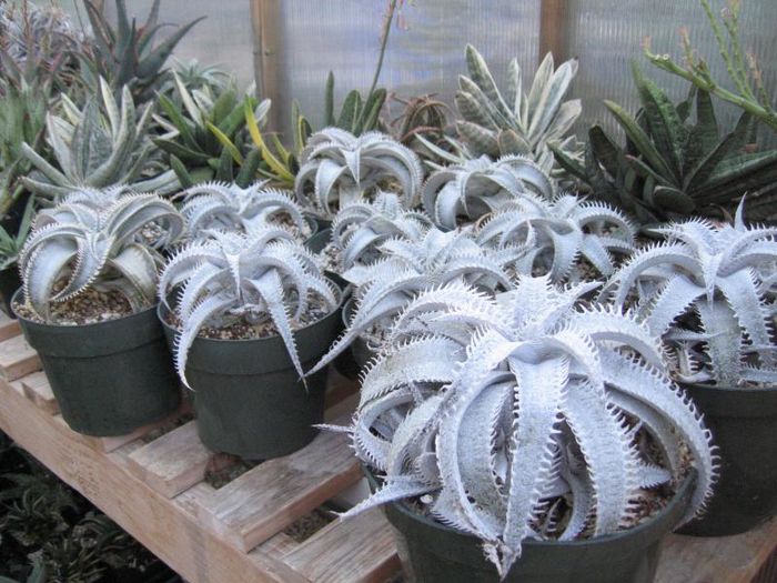 user111_pic3557_1285732241