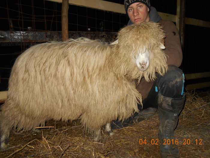 Picture 122 - Mielute 2015-2016-2017