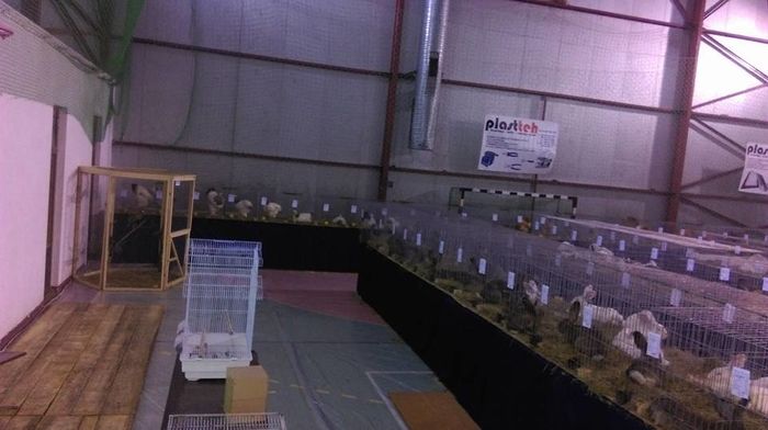 12647465_965909960113672_2271822917915317174_n