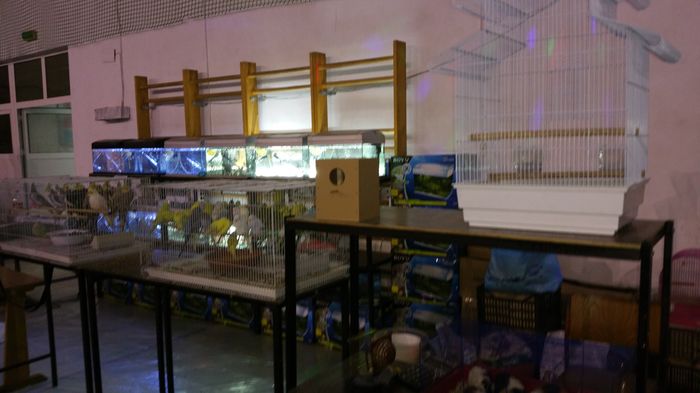 20160204_215214 - S- Expozitie Gherla 2016