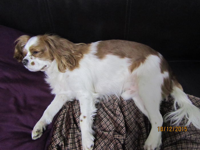 Nu are nici o treaba - Rasfatel