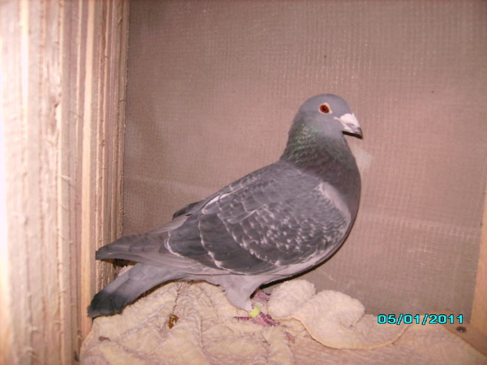 28301085_KPTJOAUUR - 5 arhiva