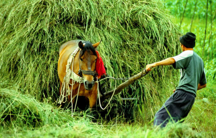  - Amintiri dinainte de 1989-2