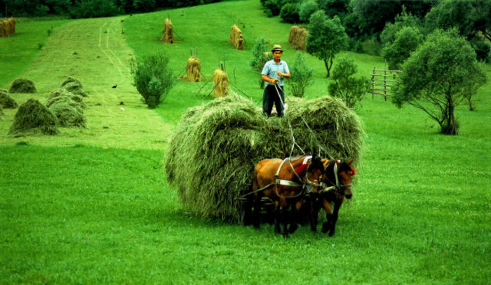  - Amintiri dinainte de 1989-2