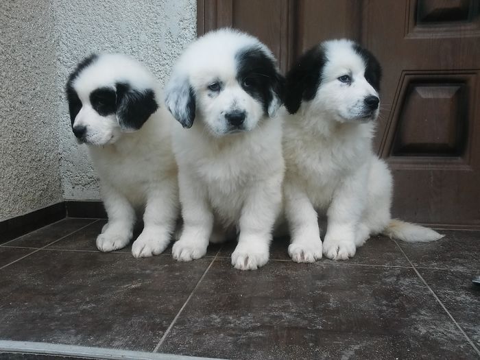 20160205_150144 - 5 02 2016