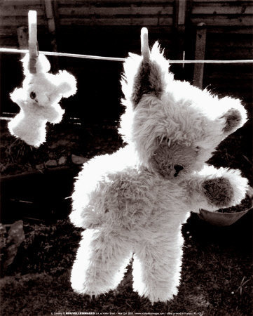 u-dresing-teddy-bear-drying