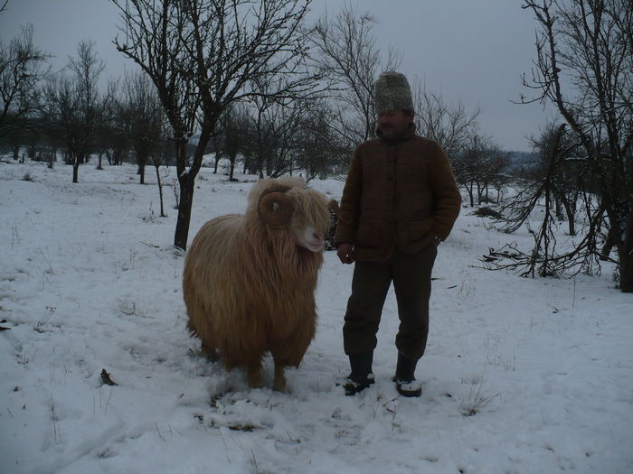 P1040176 - Turcane de Alba - Bale de Sugag