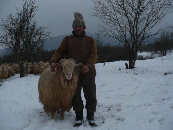 P1040175 - Turcane de Alba - Bale de Sugag