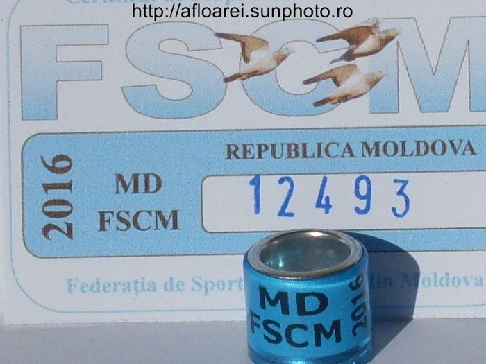 md fscm 2016 - MOLDOVA-MD