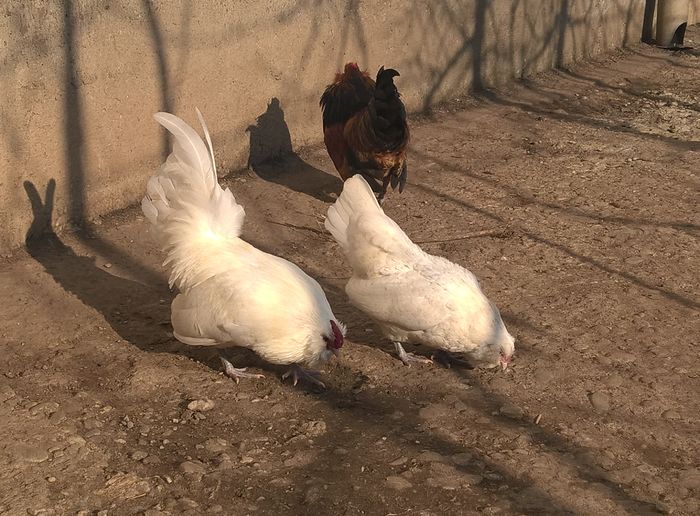 WP_20160206_14_47_55_Pro