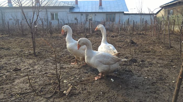 WP_20160206_13_45_53_Pro