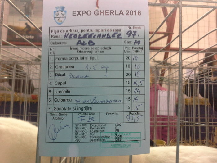 20160206_161409 - Rezultatele MeleExpo Gherla   2016