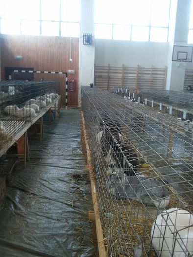 12665631_1118272184857984_887587614_n