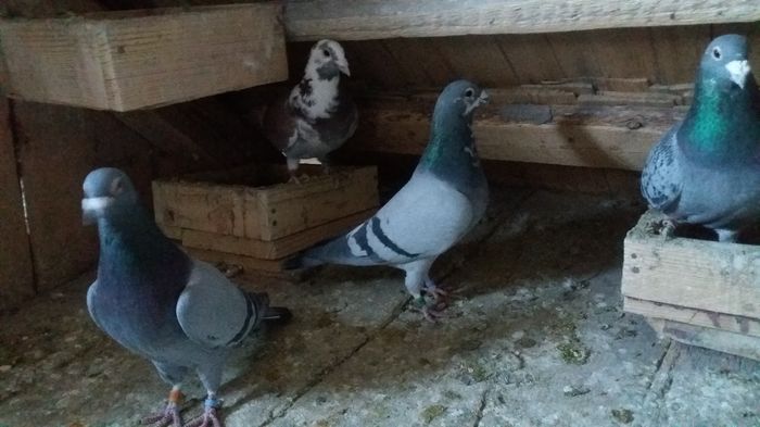 20160108_160341 - lot zbor