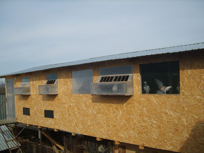 S8001458
