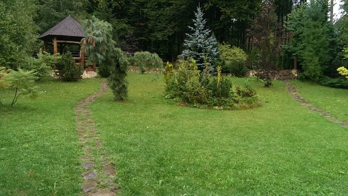 IMAG3582 - De prin curte anul trecut