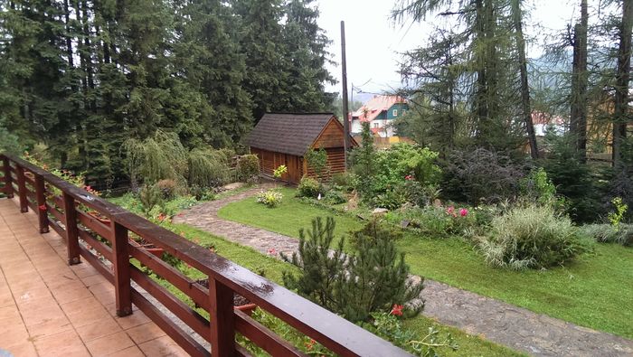 IMAG3584 - De prin curte anul trecut