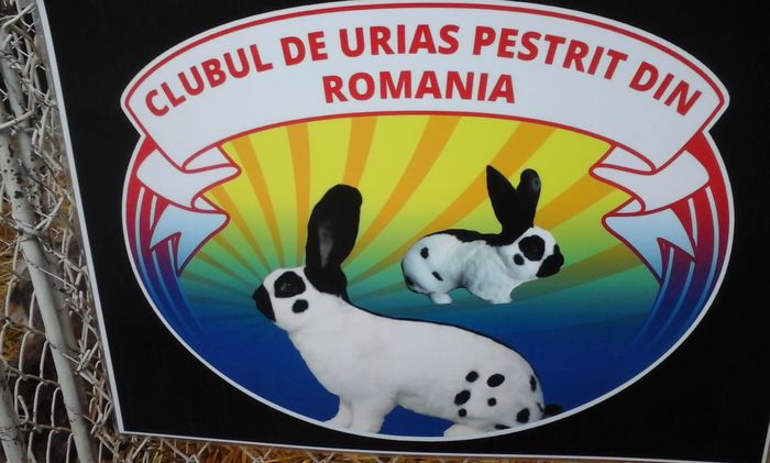 20160206_140909 - g Expo - Brasov 5-7 februarie 2016
