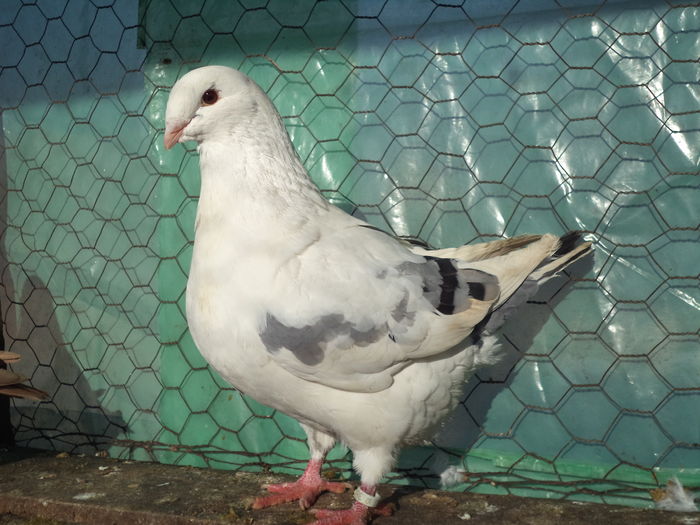 DSC03291