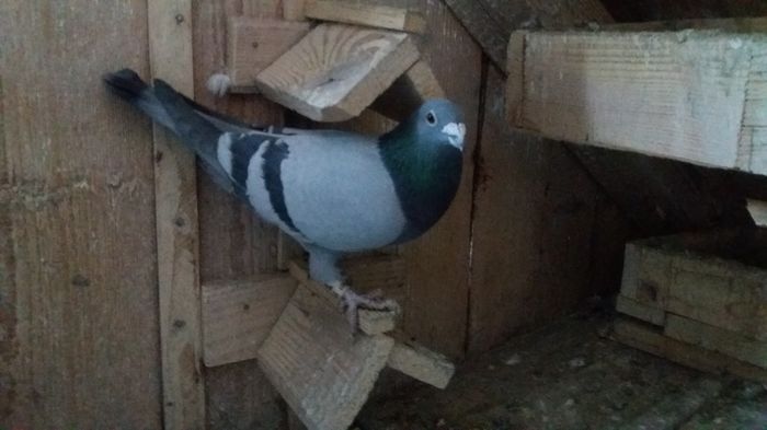 20160108_160305 - lot zbor