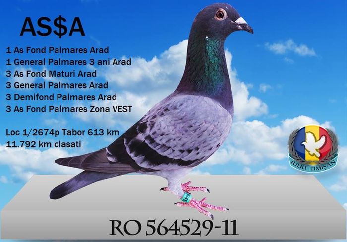 RO 564529-2011 AS$A