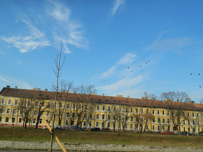 DSCN7832 - 2016 CERUL