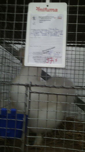 Campioana Europeana Metz,Franta 2015