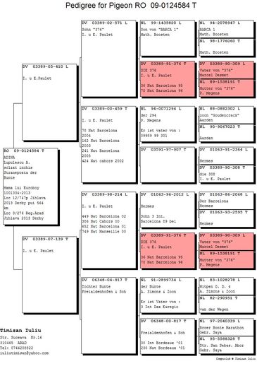 124584-09F - Pedigree F