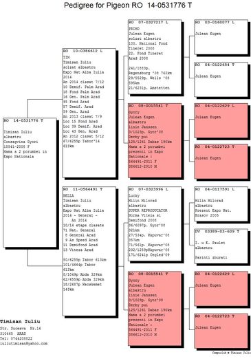 531776-14F - Pedigree F