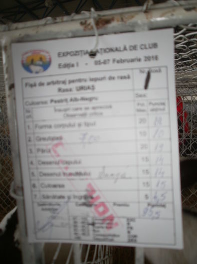  - 0 - REZ EXPO BRAȘOV FEB 2016