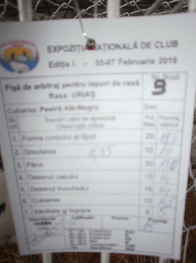  - 0 - REZ EXPO BRAȘOV FEB 2016