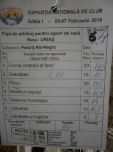  - 0 - REZ EXPO BRAȘOV FEB 2016