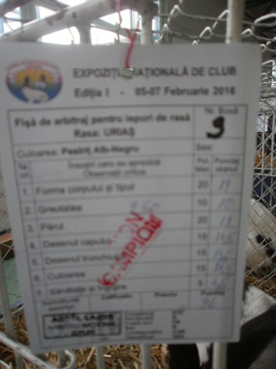  - 0 - REZ EXPO BRAȘOV FEB 2016