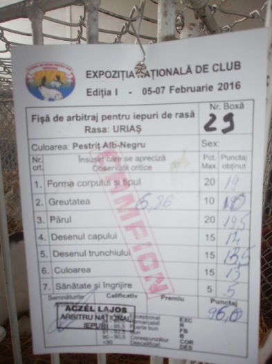  - 0 - REZ EXPO BRAȘOV FEB 2016