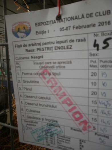  - 0 - REZ EXPO BRAȘOV FEB 2016