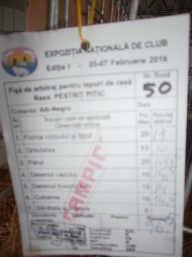  - 0 - REZ EXPO BRAȘOV FEB 2016