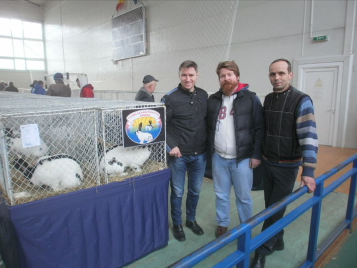  - 0 - REZ EXPO BRAȘOV FEB 2016